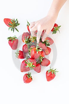 Juicy strawberry lies on a white background. the view from the top. a child`s hand takes a berry