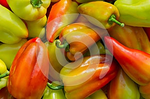 Juicy sweet colored peppers as a background