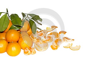 Juicy tangerines