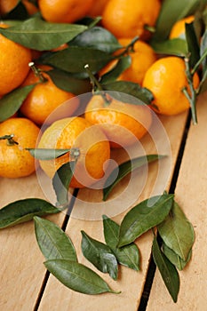 Juicy tangerines with green leaves in a wooden box