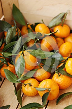 Juicy tangerines with green leaves in a wooden box