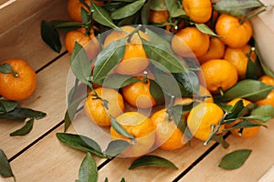 Juicy tangerines with green leaves in a wooden box
