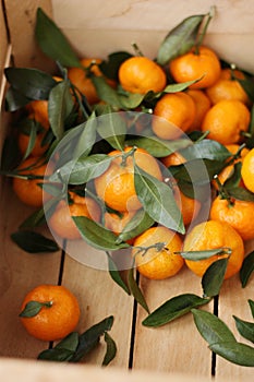 Juicy tangerines with green leaves in a wooden box