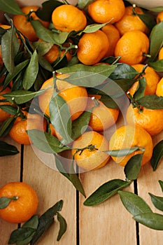 Juicy tangerines with green leaves in a wooden box