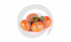 Juicy tomatoes on a white background