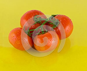 Juicy tomatoes on a yellow background