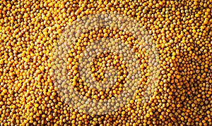 juicy yellow mustard seeds, spices, top view photo