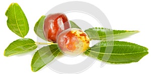 Jujube fruit