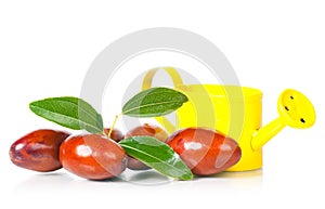 Jujube fruit