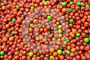 Jujube fruits in the market