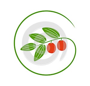 Jujube logo. Isolated jujube on white background