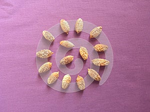 Jujube seeds