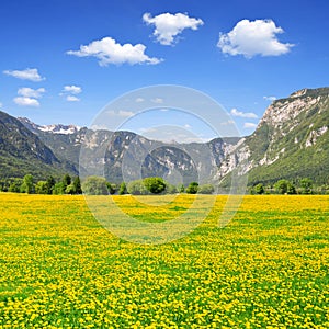 Julian Alps, Slovenia