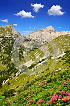 Julian Alps, Slovenia