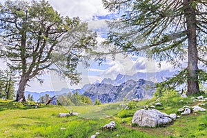 The Julian Alps (Slovenia) seen from a clearing near Slemenova Spica photo