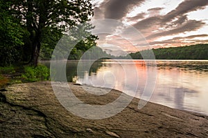 Julian Price Lake Shoreline