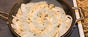 Julienne Cut White Onions In a Sauce Pan