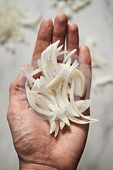 Julienne cuted onions on mans hand. Photo show how does julienne sliced or pole to pole to root to stem or half rings