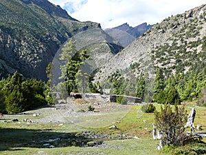 Julu village and pine forest near Ngawal, Nepal