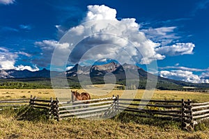JULY 12, 2018, RIDGWAY COLORADO USA - Horse overlooks worm western fence in front of San Juan Mountains in Old West of Southwest C
