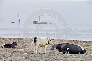 July 13 2021, Kunashir Island, Kuril Islands, Sakhalin Region,