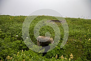 July 13 2021, Kunashir Island, Kuril Islands, Sakhalin Region,