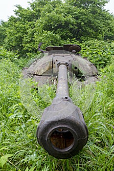 July 13, 2021 , Malokurilskoye village, Shikotan island, Kuril Islands, Sakhalin region,