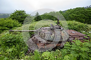 July 13, 2021 , Malokurilskoye village, Shikotan island, Kuril Islands, Sakhalin region,