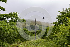 July 13, 2021 , Malokurilskoye village, Shikotan island, Kuril Islands, Sakhalin region,