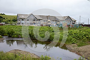 July 13, 2021 , Malokurilskoye village, Shikotan island, Kuril Islands, Sakhalin region,