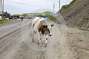 July 13, 2021 , Malokurilskoye village, Shikotan island, Kuril Islands, Sakhalin region,