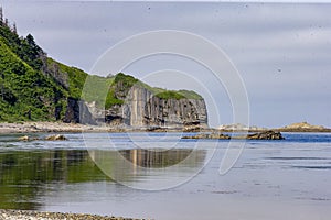 July 14, 2021 , Cape Stolbchaty, Kunashir Island, Kuril Islands, Sakhalin Region