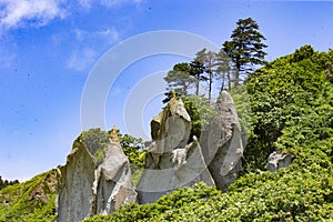 July 14, 2021 , Cape Stolbchaty, Kunashir Island, Kuril Islands, Sakhalin Region