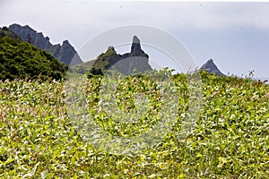 July 14, 2021 , Cape Stolbchaty, Kunashir Island, Kuril Islands, Sakhalin Region