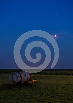 The July 2018 Bloodmoon lunar eclipse seen above a meadow on Schiermonnikoog