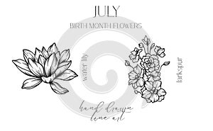 July Birth Month Flowers. Water Lily outline isolated on white. Larkspur Line Art. Hand drawn line art botanical illustration.