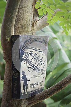 July 25, 2020:  The book of To Kill A Mockingbird by Harper Lee.