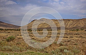 July landscape from Shamakhi region in the daytime of the Republic of Azerbaijan.