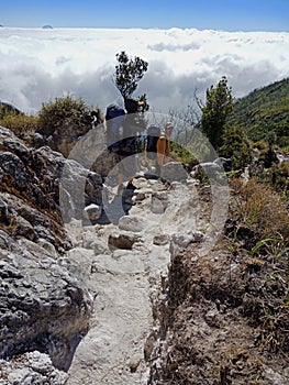 Climbing Mount Merbabu in Central Java