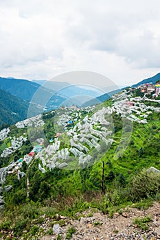 July 19th 2022 Himachal Pradesh India. Farmers in Himachal using anti-hail nets to protect apple groves or an orchard. Step hill