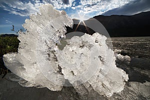 A jumble of ice fragments on the surface of the lake.