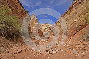 Jumbled Rocks in Desert Streambed