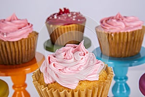 Jumbo blueberry cupcakes with piped colored buttercream