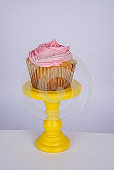 Jumbo blueberry cupcakes with piped colored buttercream photo