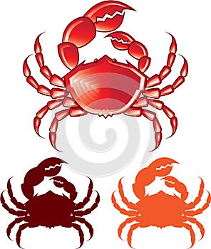 Jumbo Crab vector