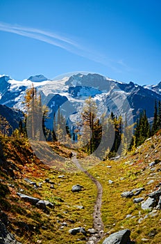 Jumbo Pass Hiking Trail in Purcell Mountains British Columbia