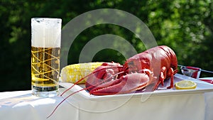 Jumbo red lobster and chilled fizzy beer