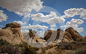 Jumbo Rocks Campground under a Beautiful Sky at Joshua Tree National Park, California