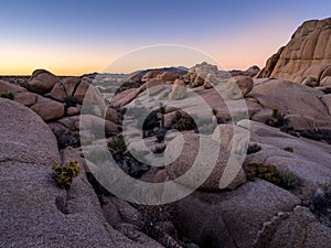 Jumbo Rocks at sunset in Joshua Tree National Park