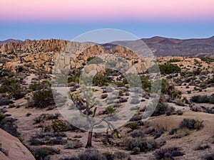 Jumbo Rocks at sunset in Joshua Tree National Park